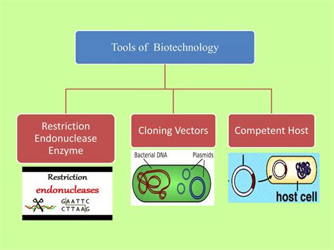 Biotechnology Process 的图像结果
