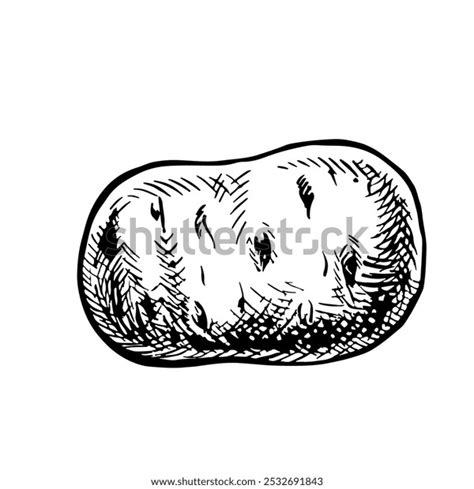 Image result for Potato Man Project Python Coding