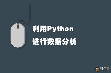 Python Daten Analysen 的图像结果
