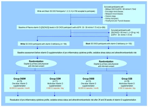 Oral Cholecalciferol Supplementation in Sahara Black People with ...