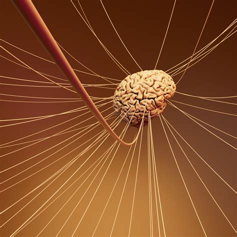 World Brain Day: दिमाग के बारे में हर बच्चे को पता होनी चाहिए ये 10 बातें