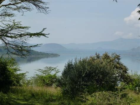 Jambo Africa