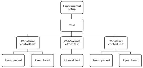 Effects of Acute Fatigue on Balance Control of Alpine Skiing Athlete
