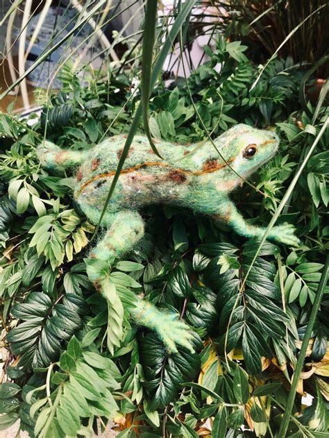 Image result for Felted Frog Pattern