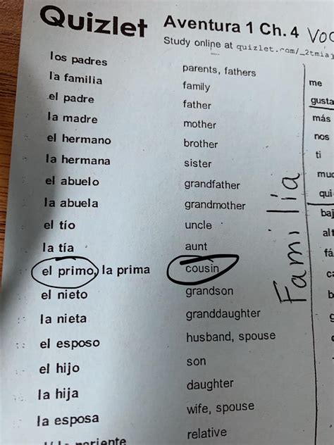 Spanish To English Primo at Judy Moore blog
