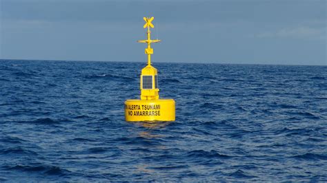 Tsunami Early Warning System