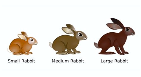 Image result for Variation Definition