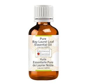 Greenwood Essential Bay Laurel Leaf Essential Oil (Laurus nobilis) Pure ...
