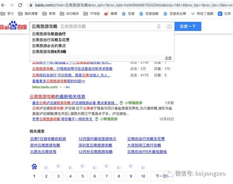 白杨SEO：如何利用关键词数据，挖掘出流量及渠道，以搜狐号实战举例【干货】
