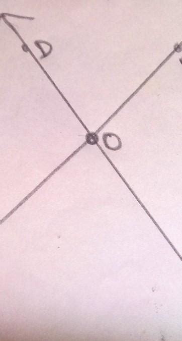 Draw intersecting lines and mark two pairs of vertically opposite ...