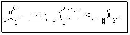The rearrangement of amidoximes lead to the formation of urea ...