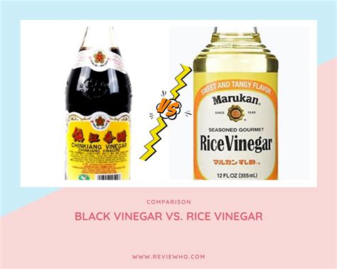 Rice Vinegar Vs Apple Cider Vinegar at Abigail Schardt blog
