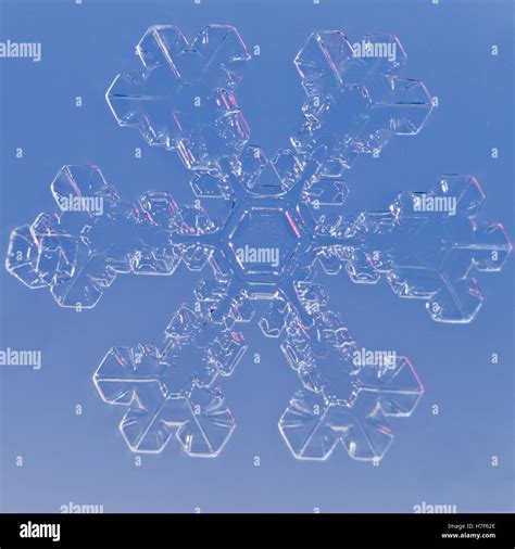 Snowflake Microscope Stock Photos & Snowflake Microscope Stock Images ...