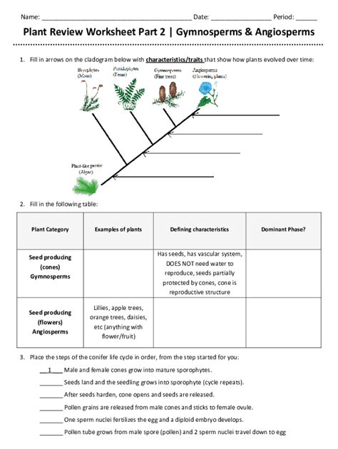 Fillable Online Plant Review Worksheet Part 2Gymnosperms & Angiosperms ...