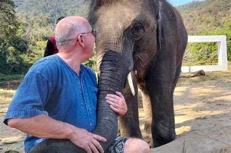 Chokchai Elephant Sanctuary Experience Chiang Mai - Klook India