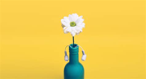 Image result for Spring Clean Music