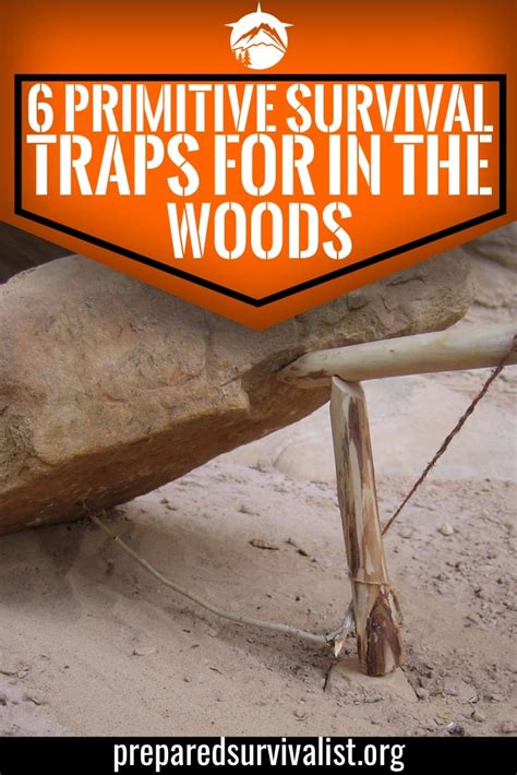 Primitive Spring Trap 的图像结果