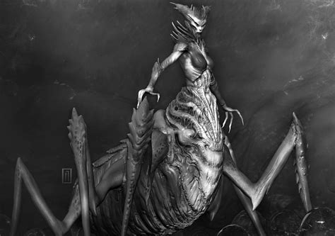 Half Girl Half Spider