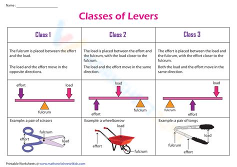 Image result for Types of Levers