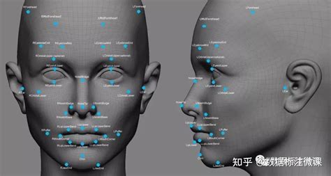 图像识别 的图像结果