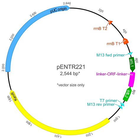 Pcambgfp Vector Map 的图像结果