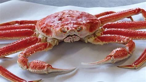 Difference Between Snow Crab And Opilio Crab – Asian Recipe
