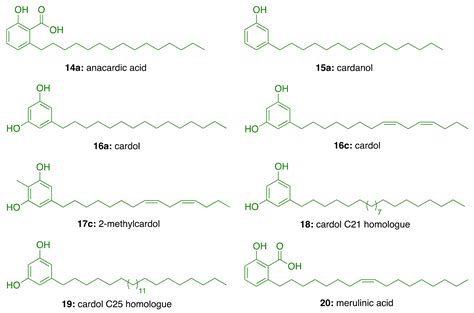 Cashew Nut Shell Liquid (CNSL) as a Source of Drugs for Alzheimer’s Disease