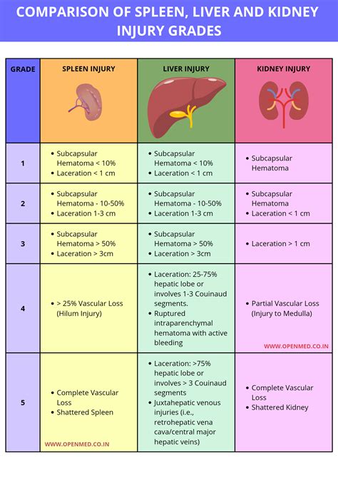 Comparison of Spleen, Liver and Kidney Injury Grades.