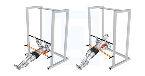 Image result for Inverted Row Progression