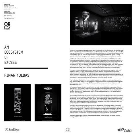 Ecosystem Of Excess