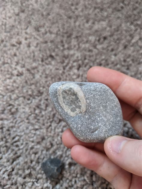 What is this Formation? Located in Silvermine Golf Club, Norwalk CT : r ...