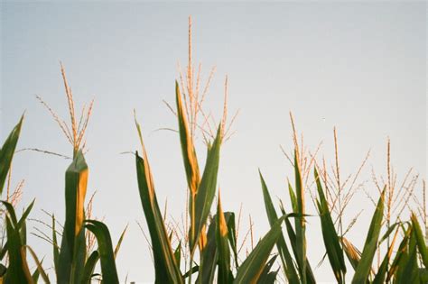 ‘You Will Lose Access To Pornhub:’ Kentucky and Indiana Face a Porn ...