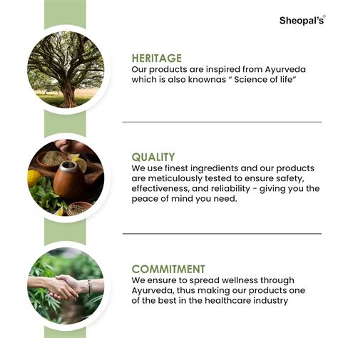 Herbal Diabdex Capsules - Best Medicine for Diabetes | Sheopals