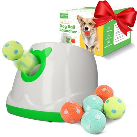 Go Dog Go Fetch Machine 的图像结果