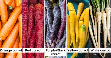 Is Carrot Good For Diabetes? - Fitterfly