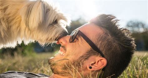 Humans D Dogs 的图像结果