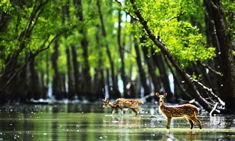 Places To Visit In November In India - Hello Travel Buzz