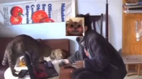 Girl loses job after pet cat sends her resignation to boss