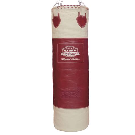 USI Punching Bag-Filled – Sportswing.in