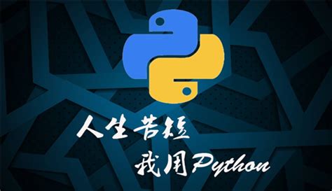 什么是Python语言？零基础能学会Python吗？-Python开发资讯-博学谷