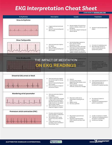 The Impact Of Meditation On Ekg Readings | ShunSpirit