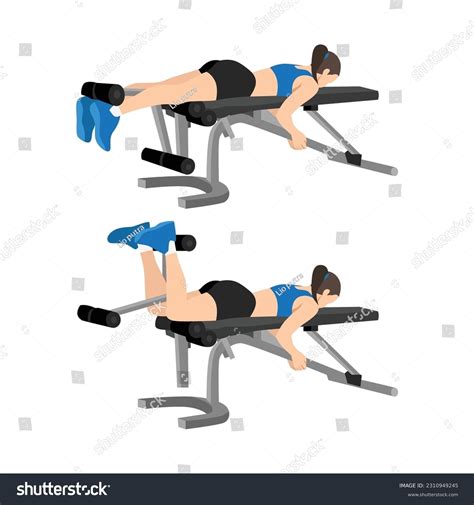 11 Laying Leg Curl Machine Images, Stock Photos & Vectors | Shutterstock