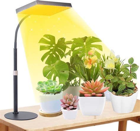 FECiDA 200W Lampe Horticole LED pour Plantes Le Bureau, Lampe Spectre Complet avec UV-IR et ...