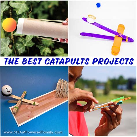 Image result for Calculus Catapult Project Simple
