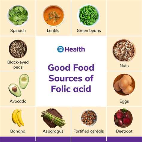 Folic Acid Pregnancy