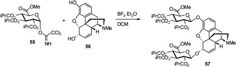 Synthesis of Glycosides of Glucuronic, Galacturonic and Mannuronic ...