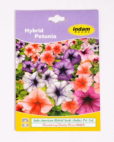 Petunia Buy Online At Best Price In India | BigHaat
