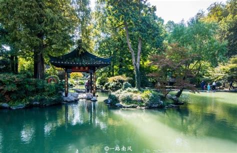 2020杭州植物园-旅游攻略-门票-地址-问答-游记点评，杭州旅游旅游景点推荐-去哪儿攻略