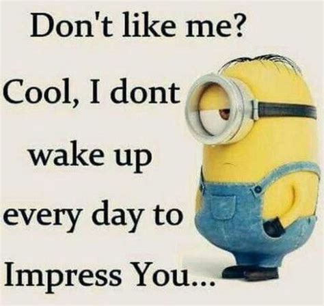 Minion or Da Bob for Today