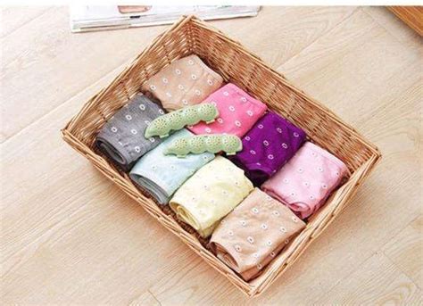 BOXANIA® 12 pcs Moth Balls in 3 Cute Pea Shaped Boxes Camphor Bugs War ...